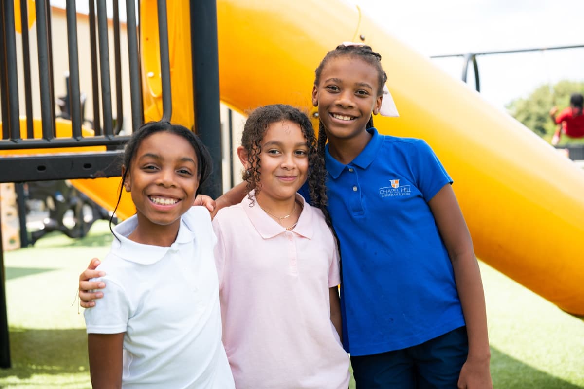 Friends smiling together on the playground slide